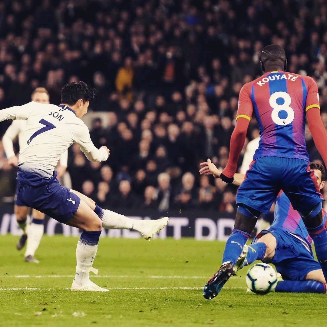 应新环境的 应新环境的