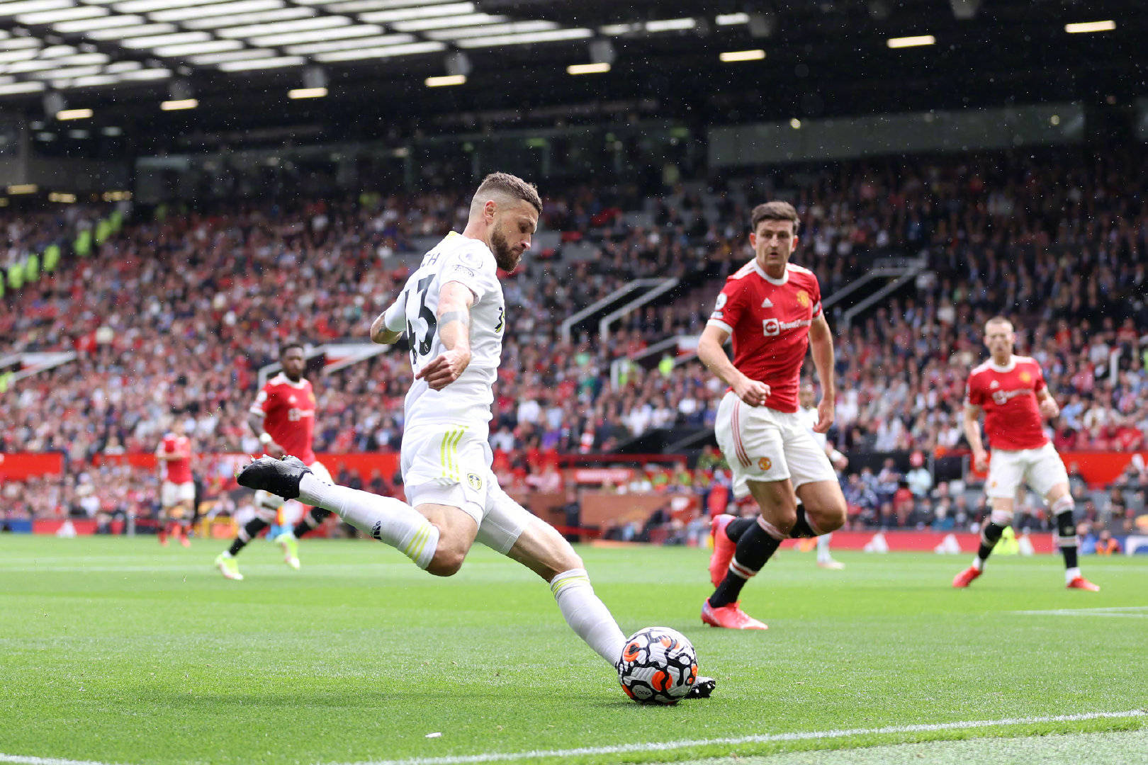 国男篮能够 国男篮能够